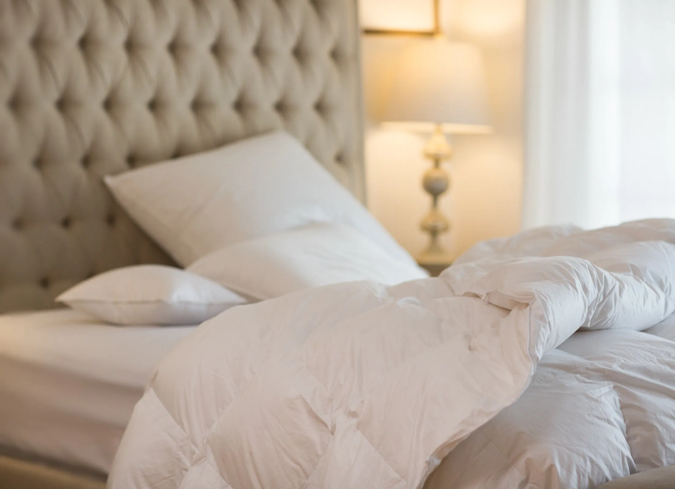 Huggable Winter Heavy Down Comforter