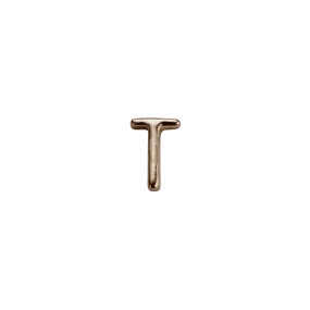 Rose Gold Letter - T