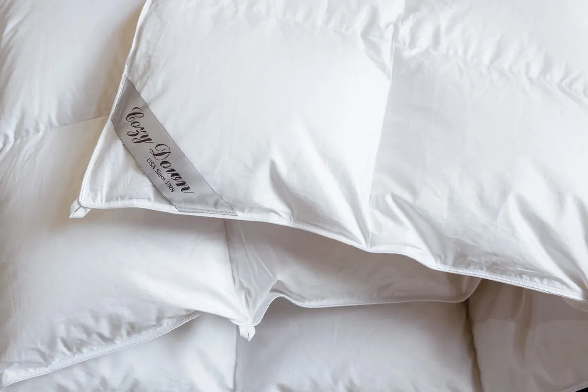 Serenity Winter Heavy Down Comforter