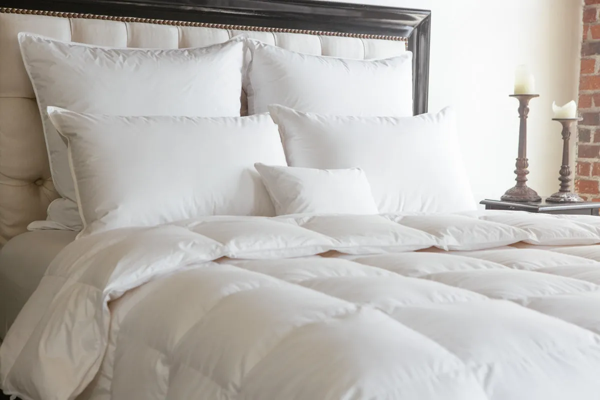 Serenity Winter Heavy Down Comforter