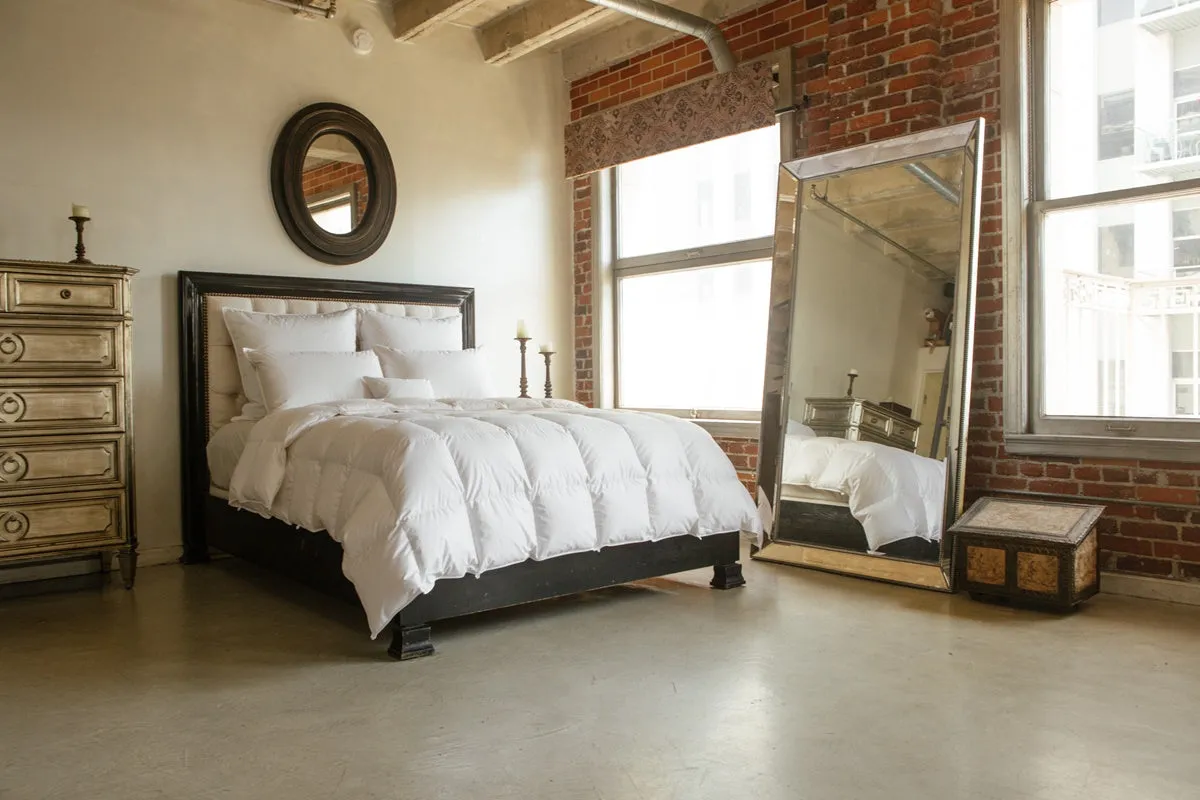 Serenity Winter Heavy Down Comforter
