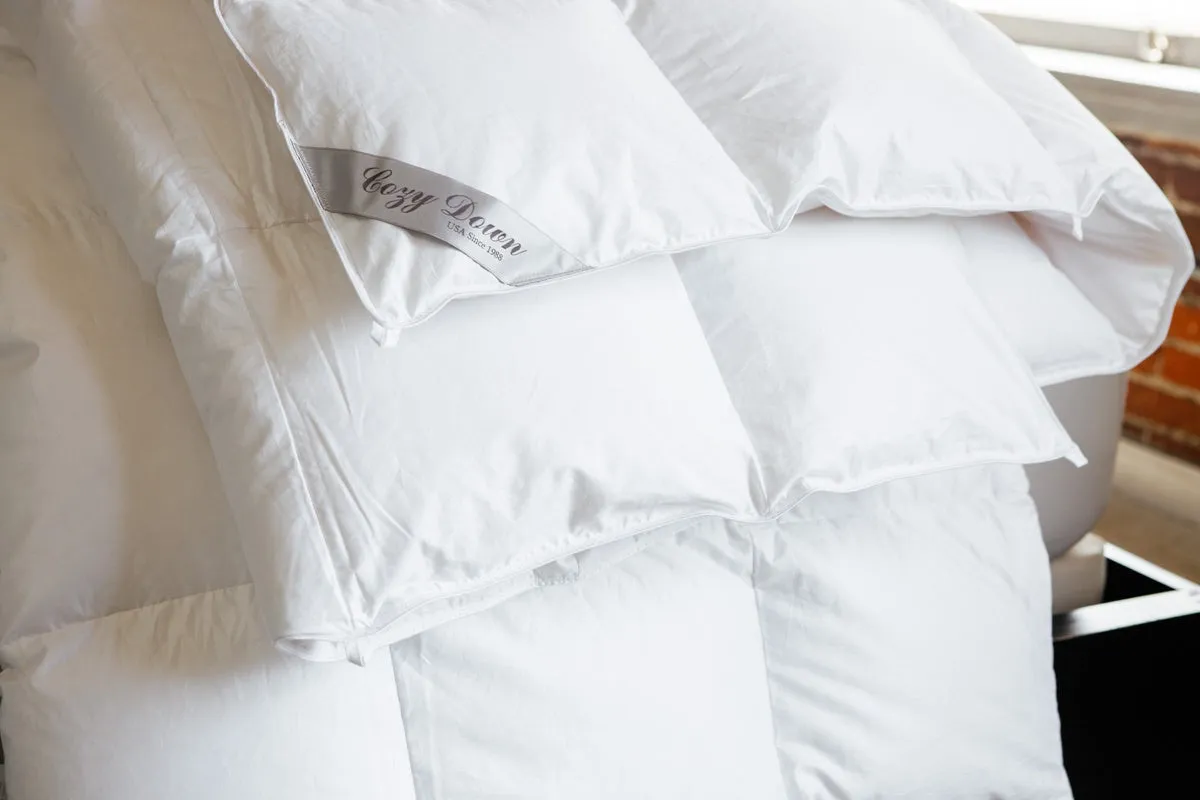 Serenity Winter Heavy Down Comforter